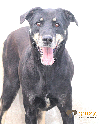 Thor-Madona - 11 anos