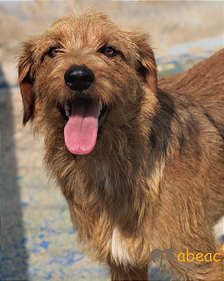 Tobias-Caucaia - 05 anos