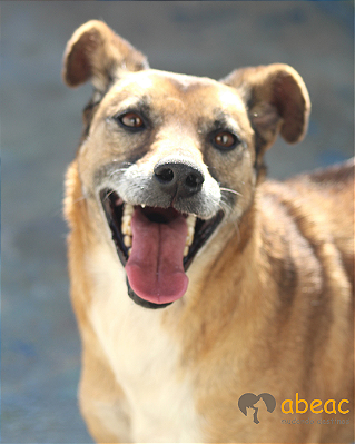 Vida-Parelheiros -08 anos