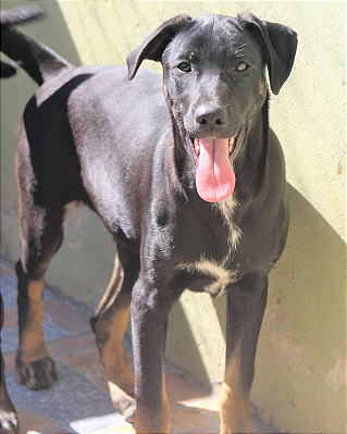 Vitor-Caucaia - 09 anos