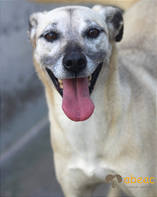 Wendy-Caucaia - 07 anos