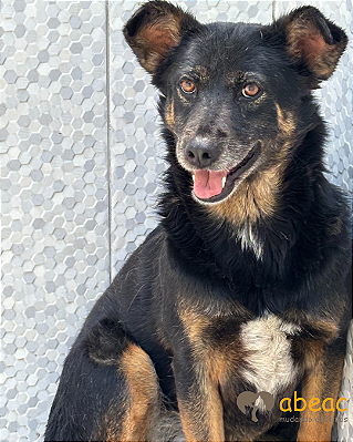 Vitória-Caucaia - 07 anos - *APADRINHADA*