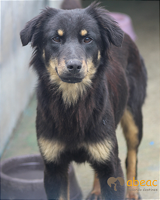 Agatha-Ramona - 09 anos