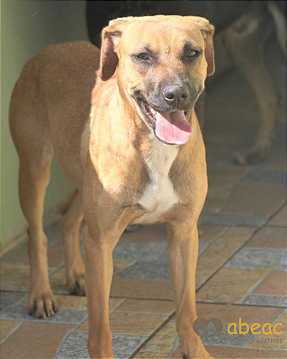 Alice-Embu - 05 anos