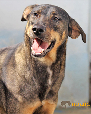 Barão-Caucaia - 10 anos