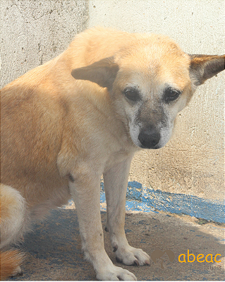 Bella-Aurora - 13 anos