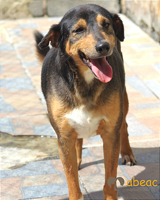 Bento-Wanderléia - 07 anos