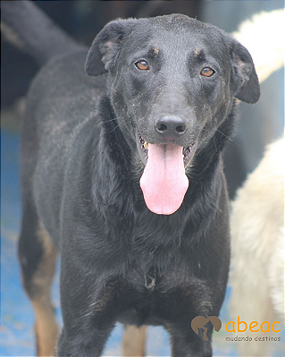 Bruce-Valentina - 10 anos