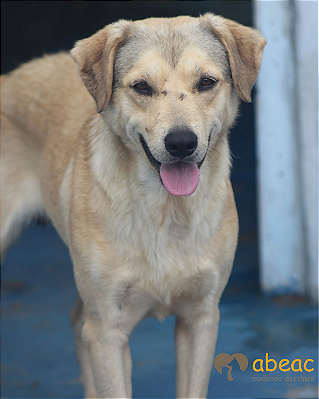 Bruce-Sr. Claudio - 09 anos