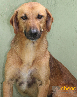 Bryan-Vicky - 10 anos