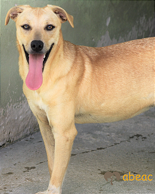 Flora-Princesa - 10 anos