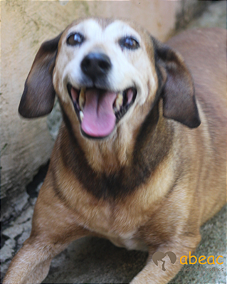 Gaby-300 Anjos -12 anos