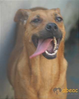 Gisele-Aurora - 06 anos