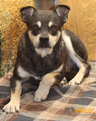 João-Sr. Claudio - 10 anos