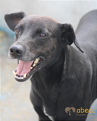 Kiko-Layla - 12 anos