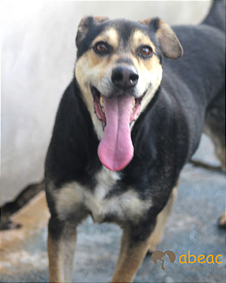 Kim-300 Anjos - 07 anos