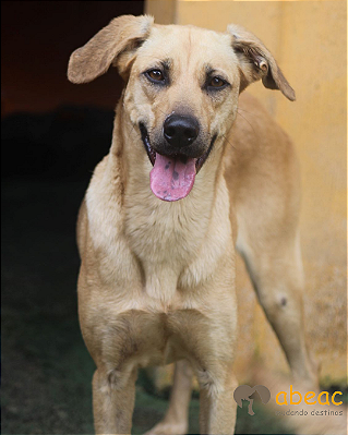 Lilona-Caucaia - 10 anos