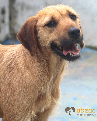 Lorena-Embu - 05 anos