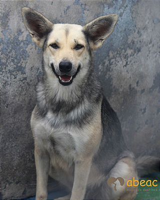 Lua-Raposo - 12 anos