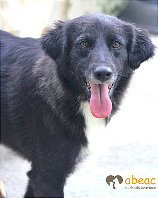 Lucas-300 Anjos - 12 anos