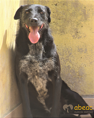 Mandela-Brigitte -10 anos