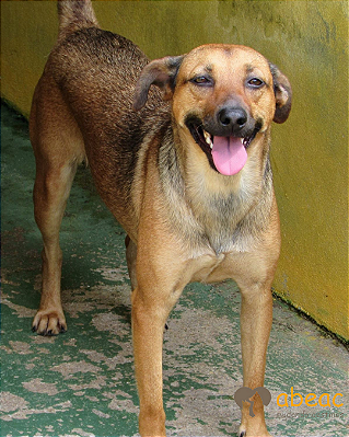 Menina-Caucaia - 12 anos