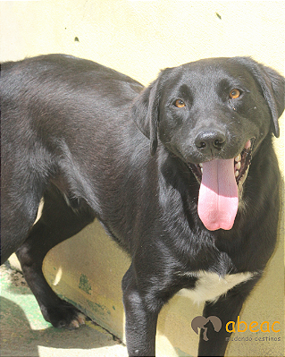 Mike-Betina - 04 anos