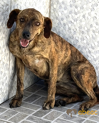 Miucha-Caucaia - 03 anos