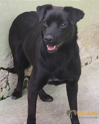 Naná-Caucaia - 07 anos