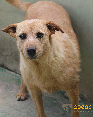 Nikita-Caucaia - 08 anos