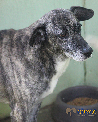 Ralf-Sr. Claudio - 09 anos