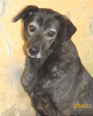 Ranya-Wanderléia -12 anos