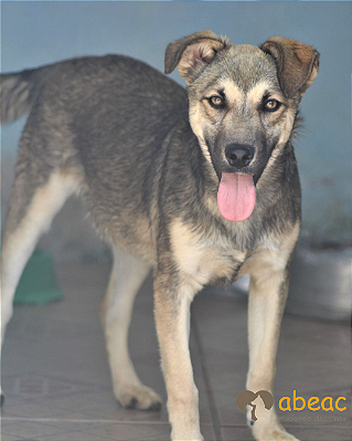 Théo-300 Anjos - 06 anos