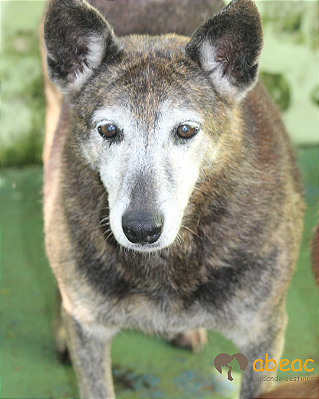 Vicky-Parelheiros - 16 anos
