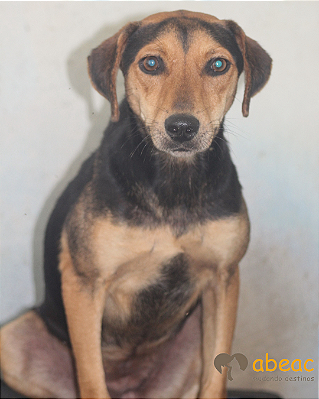 Vitória-Aurora - 06 anos