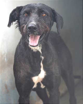 Zeus-Aurora - 07 anos