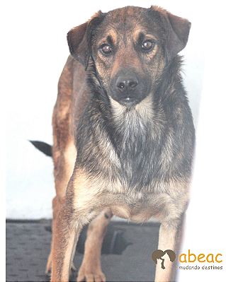 Athos-Tutty - 07 anos