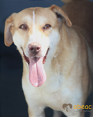 Boris-Mabel - 12 anos