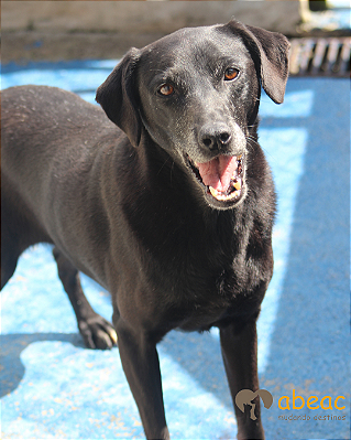 Café-300 Anjos - 09 Anos