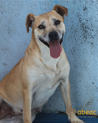 Catarina-300 Anjos - 12 anos