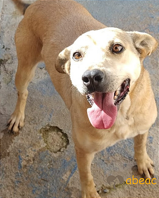 Daniela-Aurora - 11 anos