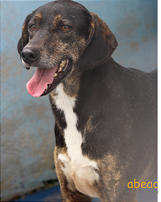 Danna-Pretinha - 13 anos