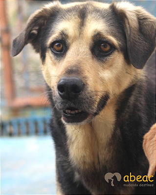 Eros-Madona - 11 anos