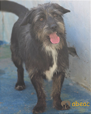 Gabriel-Cristal - 05 anos