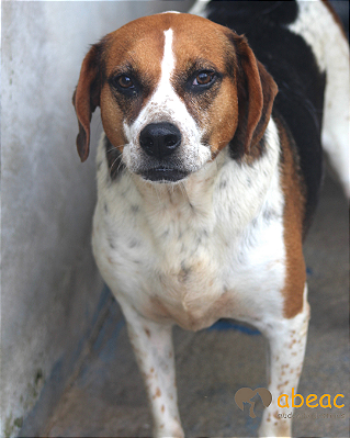 Igor-300 Anjos - 07 anos