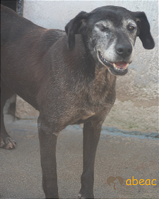 Julieta-Caucaia - 16 anos