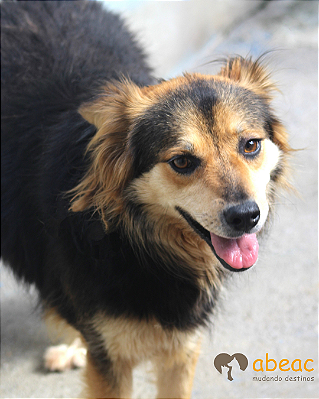 Lobinha-Aurora - 07 anos