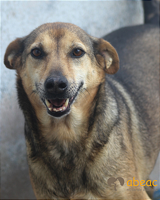 Lolly-Carapicuiba - 12 anos