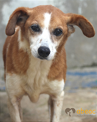 Luana-Dna Beth - 14 anos