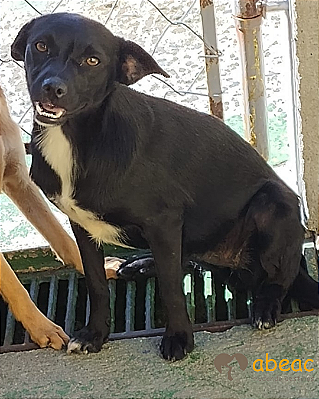 Luna-Aurora - 03 anos